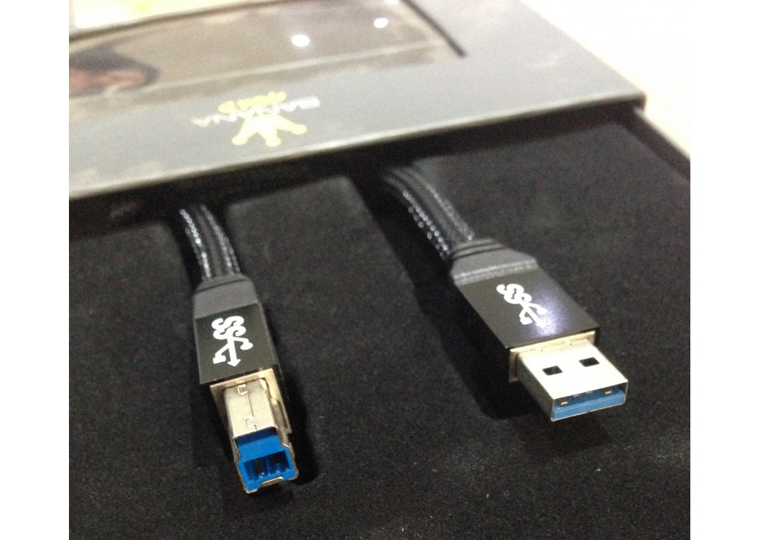 CÁP USB IN (3.0) BANANA GOLD 2M